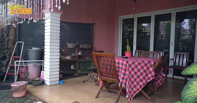 Youtube.com/deHakims Story